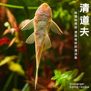 �����Ꭷ�^�p�~�坍�~�׳����~�����~��̦��������~�ͻ�