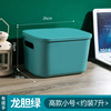 Storage box, clothing, big plastic storage system