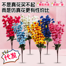 �ߙn�����һ�֦���ܷ��滨÷���ٻ���Y�b�c�û������������l