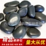 定制抛光盆栽黑色鹅卵石