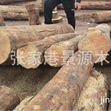 �������ɻ���� ݗ���� �Ҿ߼���ĺ�ɷ��m�����~�ɰ�����