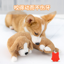 羳￹]ëqСС؈˯Xı