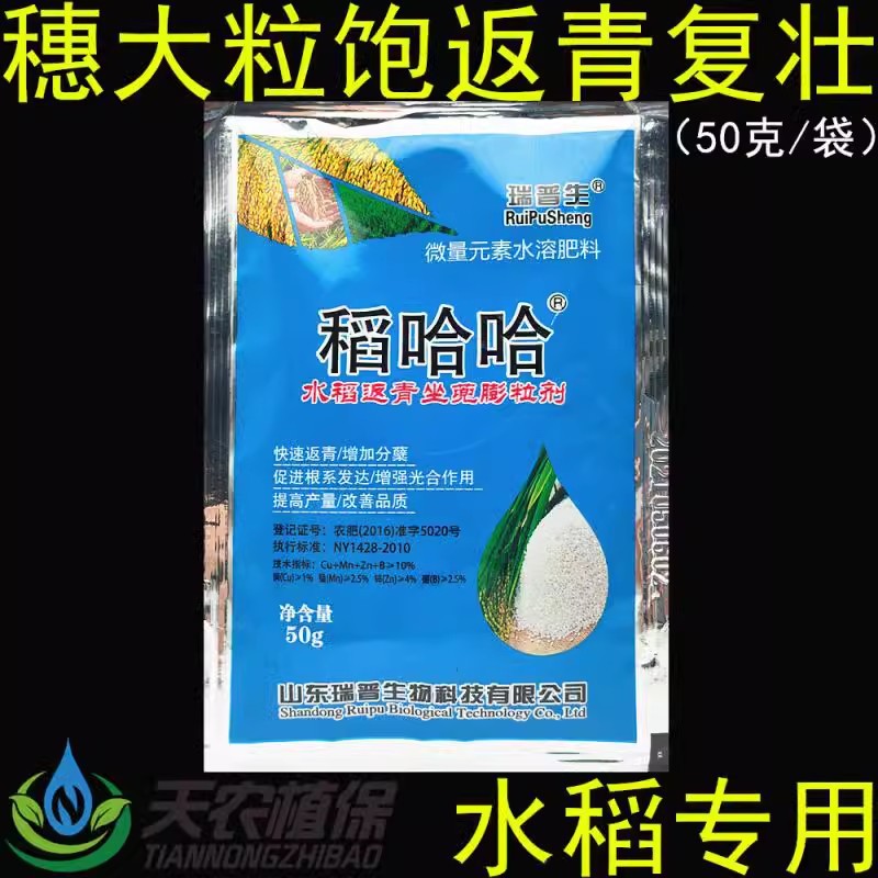 水稻专用叶面肥返青抗倒大穗增产分蘖微量元素水溶肥稻田叶面肥料