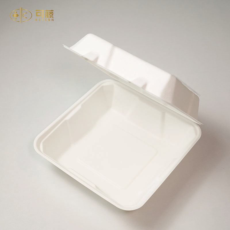 一次性甘蔗浆可降解餐盒包装盒 8寸9寸翻盖连体盒外卖打包