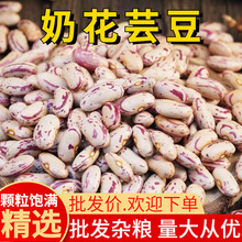 �̻�ܿ�� 50�ﻨܿ��ȸ���� �A����ܿ�� ��� ���̻�����Ŵ