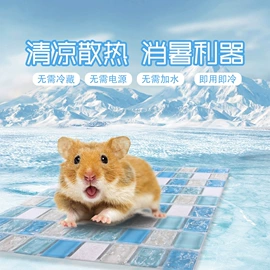 猫猫玩具;宠物帽子;其他小宠用品