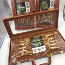 东北特产长白山人参礼盒批发开窗宗皮林下参礼盒十支装人参礼盒