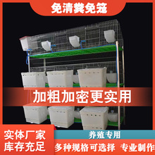 兔子笼子养殖场新型热镀锌专业免清粪特大号加粗家用子母兔笼其他