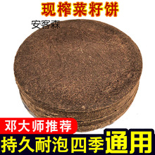 .C~DϴCҹCҰ឵׸CͿݲ