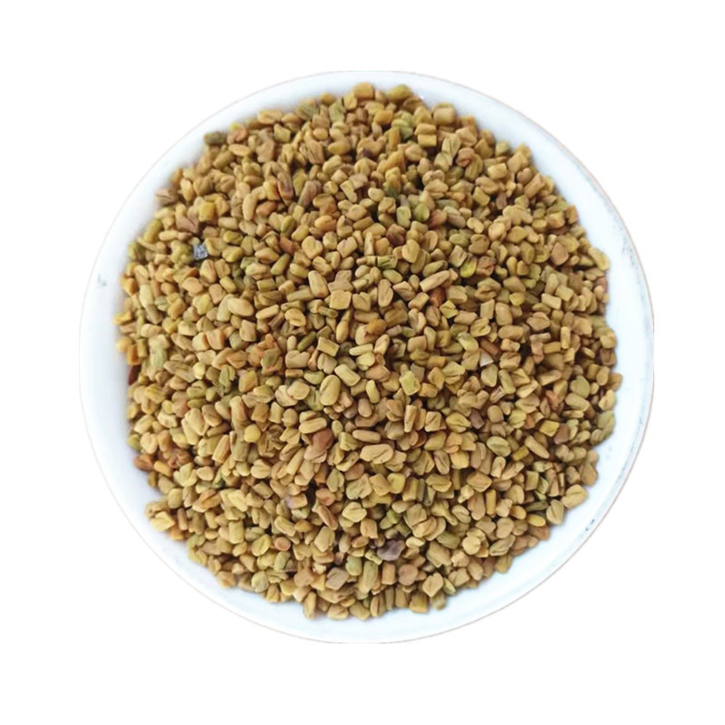 Fenugreek Seeds Hu Lu Ba 葫芦巴 Dried Whole Seeds Traditional TCM Herb for Decoction and Culinary Use Bulk Supply in use