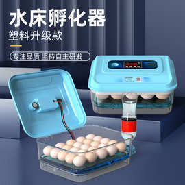 鸽子养殖业的新篇章：德州鸽子孵化机引领时代潮流
