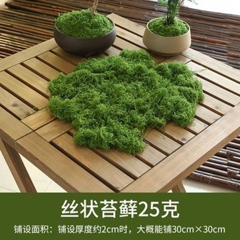 羊毛造景掉色不植物墙水陆缸假山石头仿真苔藓青苔缸藓园林雨淋|undefined