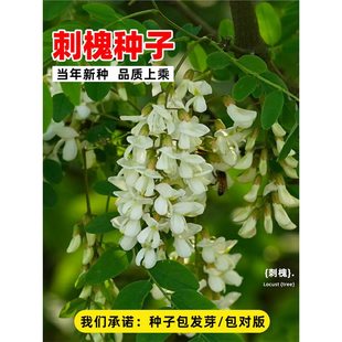 �̻��N���o�¹������ѲݷN�׻��̻����㻨�����뻱�󻱻�����N��