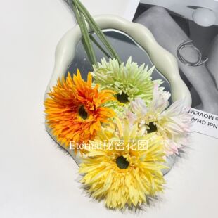 ���޾շ��滨�߼��и�����˹��֦�����r�ռҾӻ�c�bٻ���Y