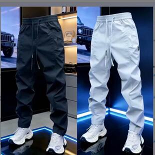 2026���ļ��¿����eѝ���_�\��ѝ���K��ɫ�ٴ��@�ݛ���ѝ��ʿ����