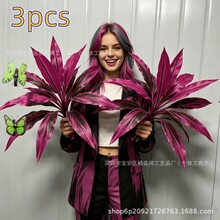 �羳���Q���R�d�ָ���Ѫ�����ľ�~�B��ާ��콶�G�����~�S�Ҵ��l