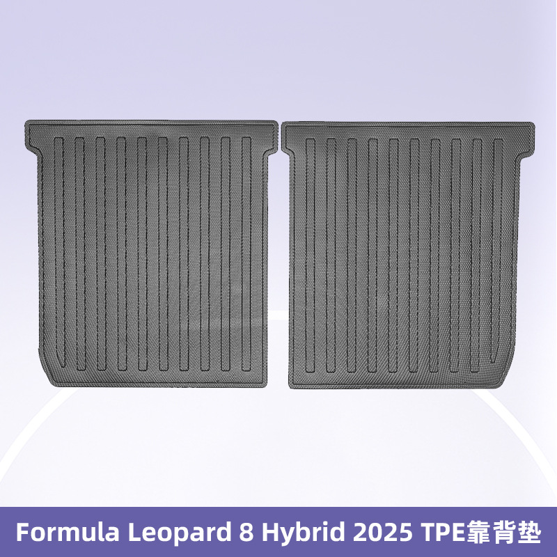 Para Fórmula Leopard 8 Hybrid 2025 TPE Foot Pad 3D All-Weather Mat