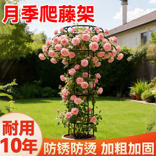 �¼����ټ�ֲ�������܂��λ���֧�ΗU�F��ɏ�h�����Nޱ�̶���֧��