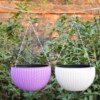 Manufactor Straight hair Rattan Spider plant pots Multicolor Plastic Rattan Chlorophytum Flower pot gardening Plastic Flower pot
