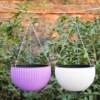 Manufactor Straight hair Rattan Spider plant pots Multicolor Plastic Rattan Chlorophytum Flower pot gardening Plastic Flower pot