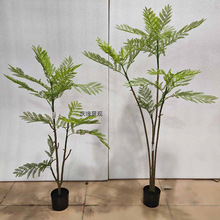 ֲF辰{麾^҃ԷGֲ쾰͏dɳl