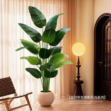 �����B����Gֲ�҃����Դ��ͷ���ֲ��٘��p�ݿ͏d��ؔ[�����˽�