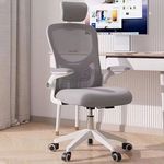 电脑椅办公座椅子宿舍靠背椅升降电竞椅旋转椅子大学生宿舍椅子厂