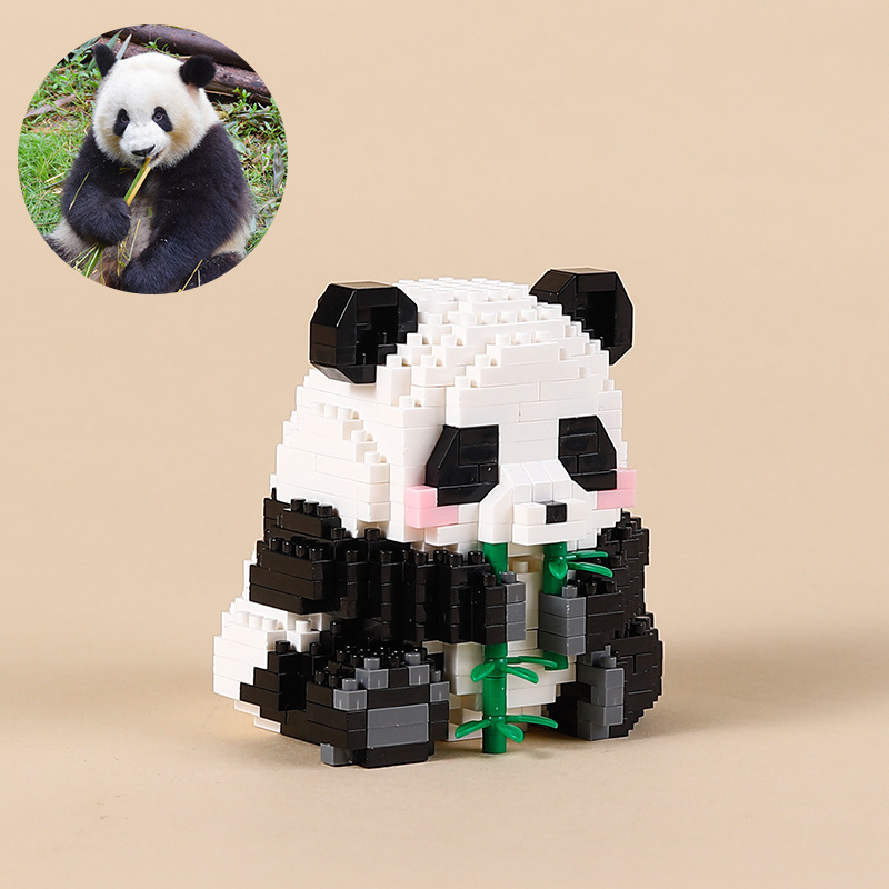 Huahua ăn tre 449PCS