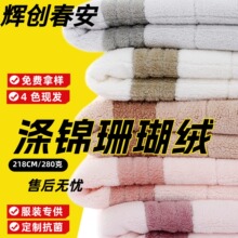 双面涤锦珊瑚绒毛巾布料批发吸水经编细纤维提花法兰绒毛毯面料