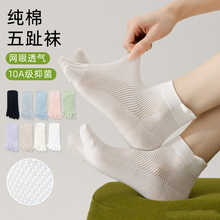 无骨五指袜子女士吸汗袜子夏季薄款网眼透气短筒袜女士纯棉分趾袜