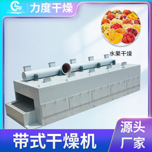 DW系列网带式烘干机 不锈钢多层食品干燥机雪里红宠物零食烘干