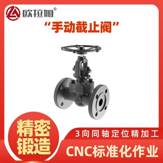 手动截止阀供应 DN25规格尺寸 j41h国标 适用分离装置 欧拉姆