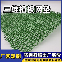 ���Sֲ���W����HDPE�o�¾G��ֲ�ݾW�ӽ�ӵ�����ϩ���S�����W�|