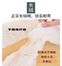 5YA1散装皮棉 一级新疆棉花 散装长绒棉 填充物 脱籽棉花精品优质