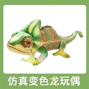 �羳����߹�׃ɫ��ë�q��߹���Ҳ�Tɳ�ذ�����������ż������