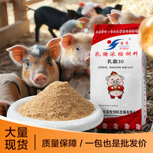 厂家直销乳猪浓缩饲料强健肠胃促30%增重提高养殖效益浓缩料