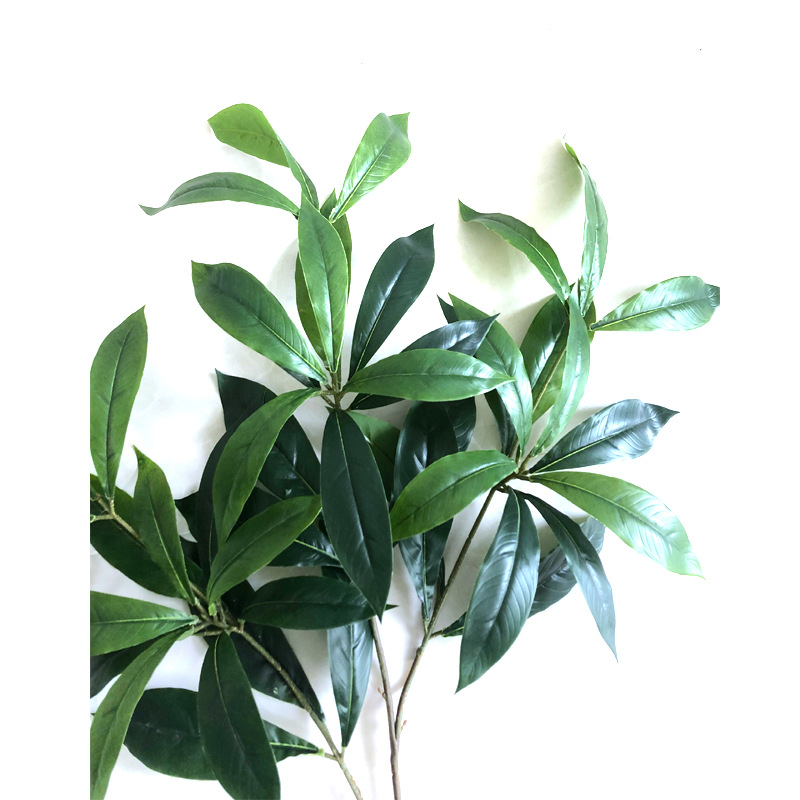 XRB-265 楠木三叉枝 (1).jpg