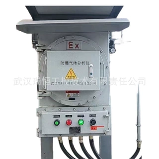 RHNOX-302防爆微量氮氧化物分析仪 武汉瑞恒工控
