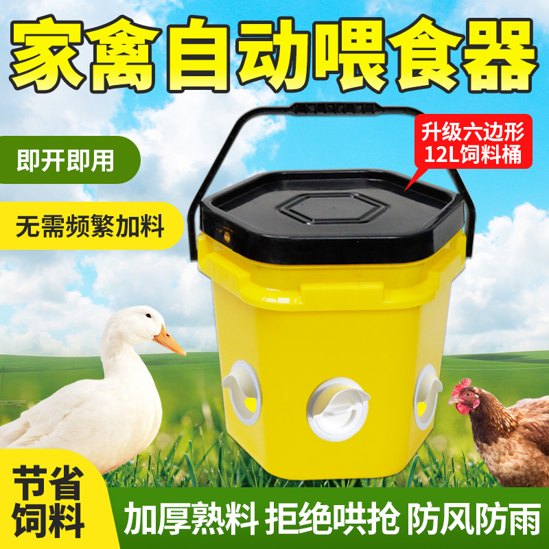 Dispositivo automático de alimentación de aves de corral, tanque de alimentación de pollo, tanque de alimentación anti - dispersión, cubo de alimentación, pájaro, pato, ganso, artefacto de alimentación de pollo image 3