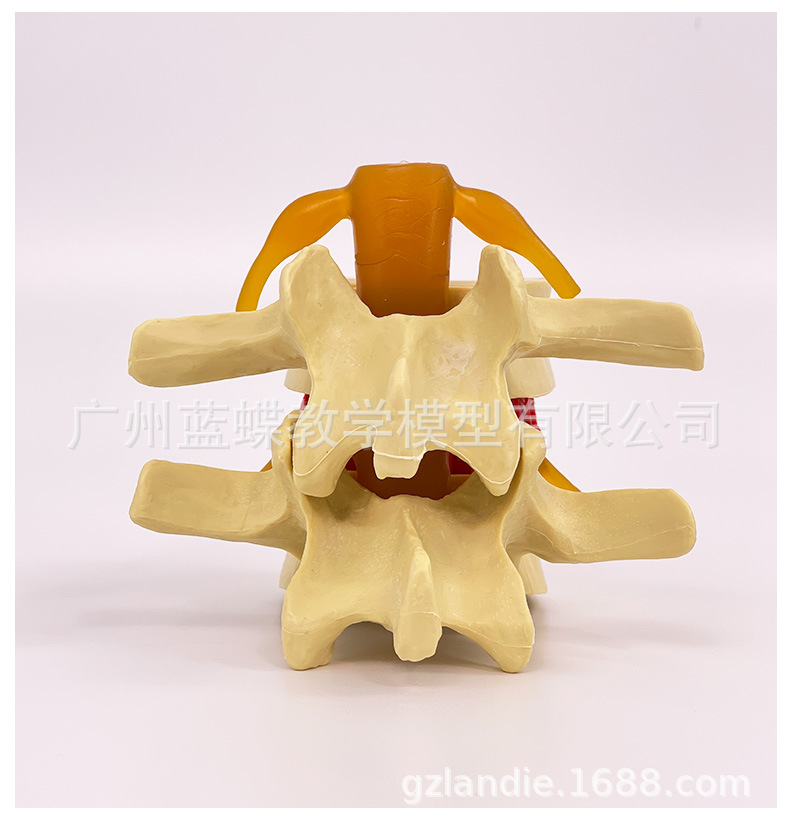 详情_15