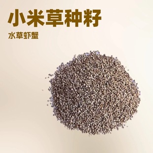 Millet Grass Seeds Water Grass Feeding Fish Grass Plant Seeds High Temperature Resistant Lobster Breeding Special Grass Four Seasons Waterlogged Breeding
