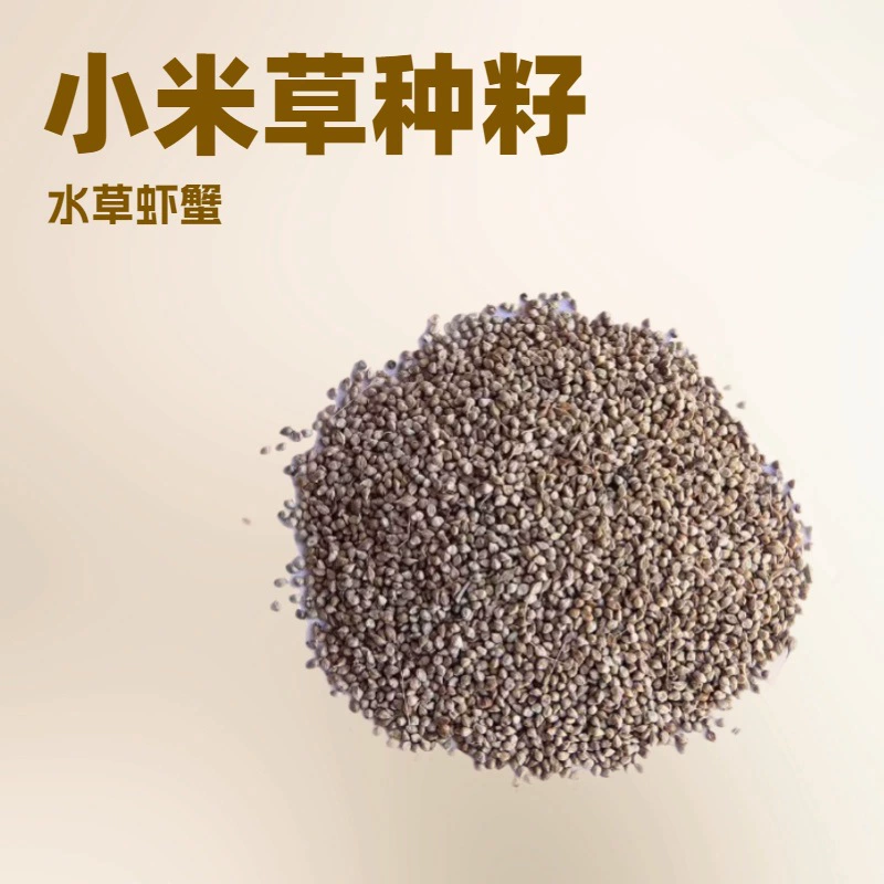 Семена Xiaomi Plant Seeds Водная трава Кормление Рыба-трава Семена устойчивых к высоким температурам омаров