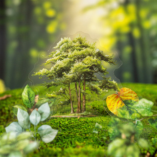 ���õ�һ���ļ���ľ�쾰�N���� ����ļ�ϵ���֎��ز�DIY�b�ƴ�N