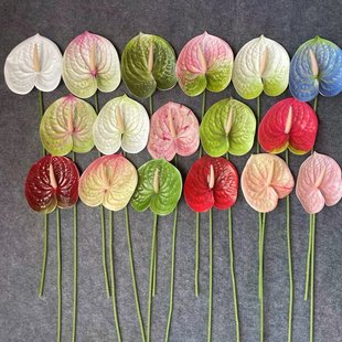 3D�t�Ʒ��滨 ��c���ĵ��Ż�·�����Ҿ��b廨���߼ٻ�