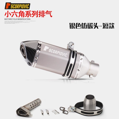 Motorcycle Modified Exhaust Pipe R25_R3_Z400 Yongyuan 350 Little Ninja Z250Sl Small Hexagonal Exhaust Pipe (Motorcycle exhaust pipe) - short-style-silver-imitation-carbon-head