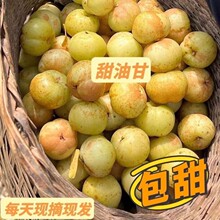 ���ڳ���������͸����r�͸̹����ţ���r�����ЋDˮ�����ϙ����