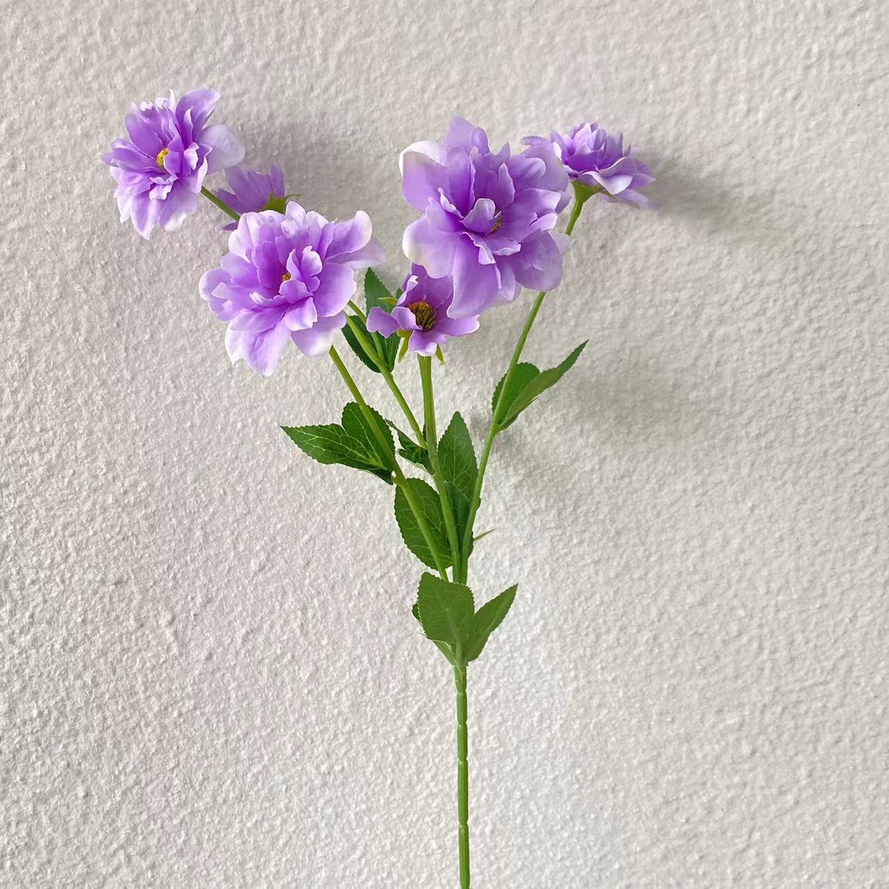 Flores de loto de nieve Lila claro