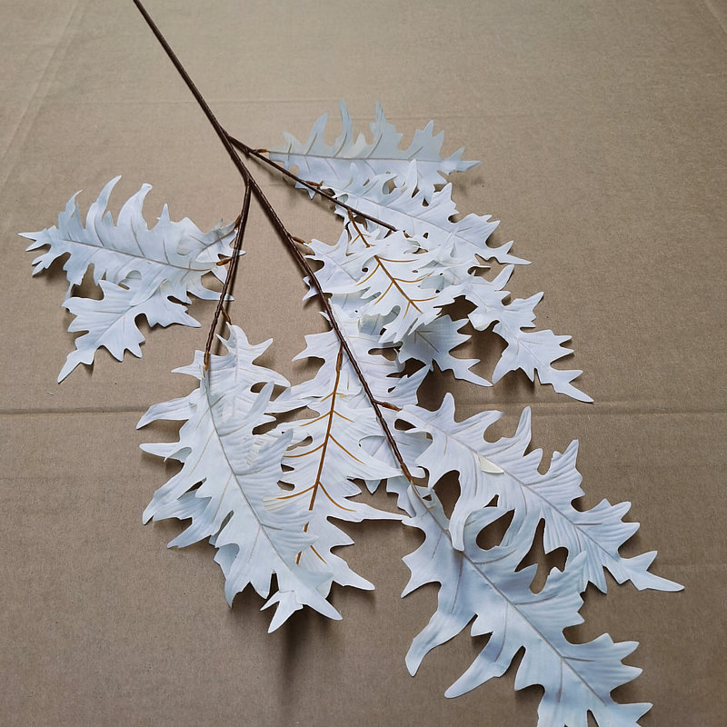 산호 잎