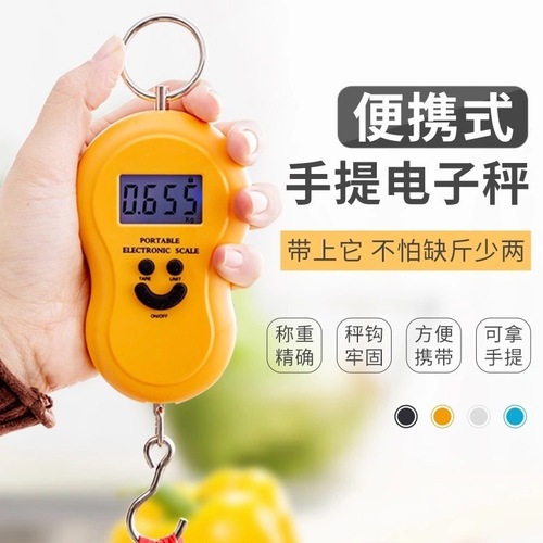 Portable Electronic Scale, Household Small Scale, Spring 50KG High Precision Mini Foldable Courier Scale Hook Vegetable Hanging Scale