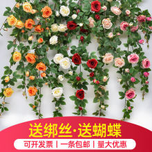 ����õ�廨���҃�ܛ�b�������{�ܵ��b��p�@�ړ��W�t���b���